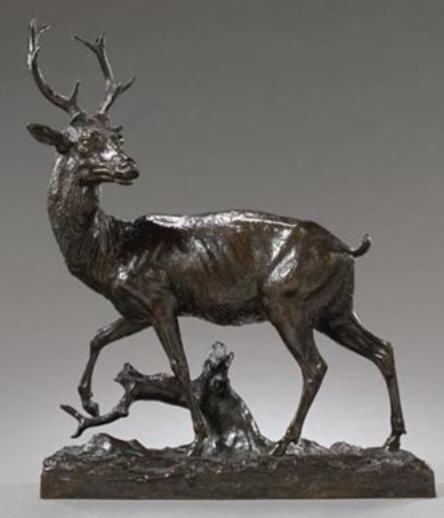 a_stag