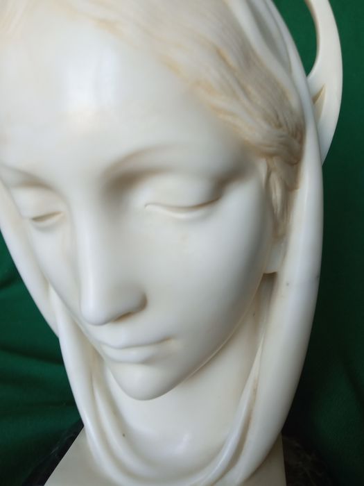 Testa di Madonna1