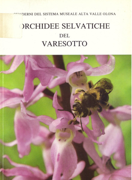 libro 67
