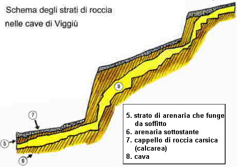 cava