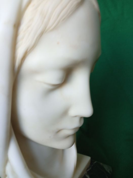 Testa di Madonna1